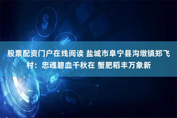 股票配资门户在线阅读 盐城市阜宁县沟墩镇郑飞村：忠魂碧血千秋在 蟹肥稻丰万象新
