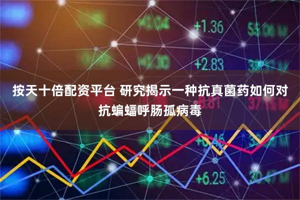 按天十倍配资平台 研究揭示一种抗真菌药如何对抗蝙蝠呼肠孤病毒