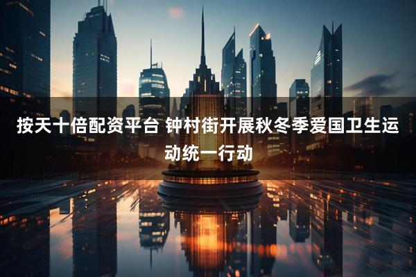 按天十倍配资平台 钟村街开展秋冬季爱国卫生运动统一行动