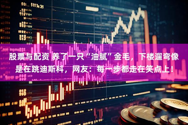 股票与配资 养了一只“油腻”金毛，下楼遛弯像是在跳迪斯科，网友：每一步都走在笑点上！
