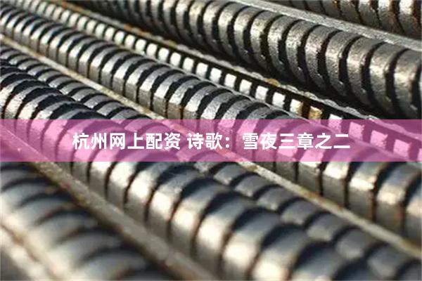 杭州网上配资 诗歌：雪夜三章之二