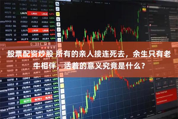 股票配资炒股 所有的亲人接连死去，余生只有老牛相伴，活着的意义究竟是什么？