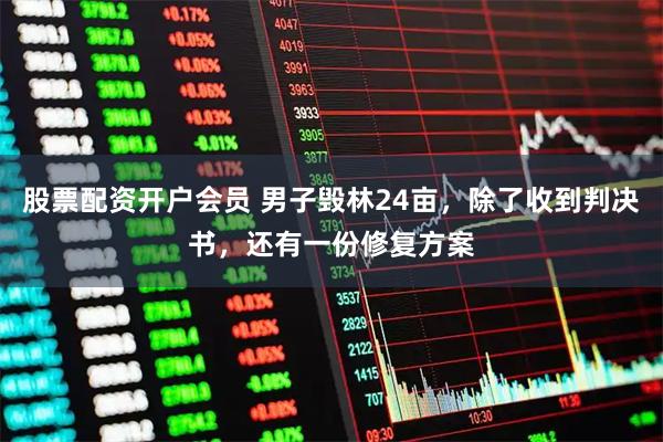 股票配资开户会员 男子毁林24亩，除了收到判决书，还有一份修复方案